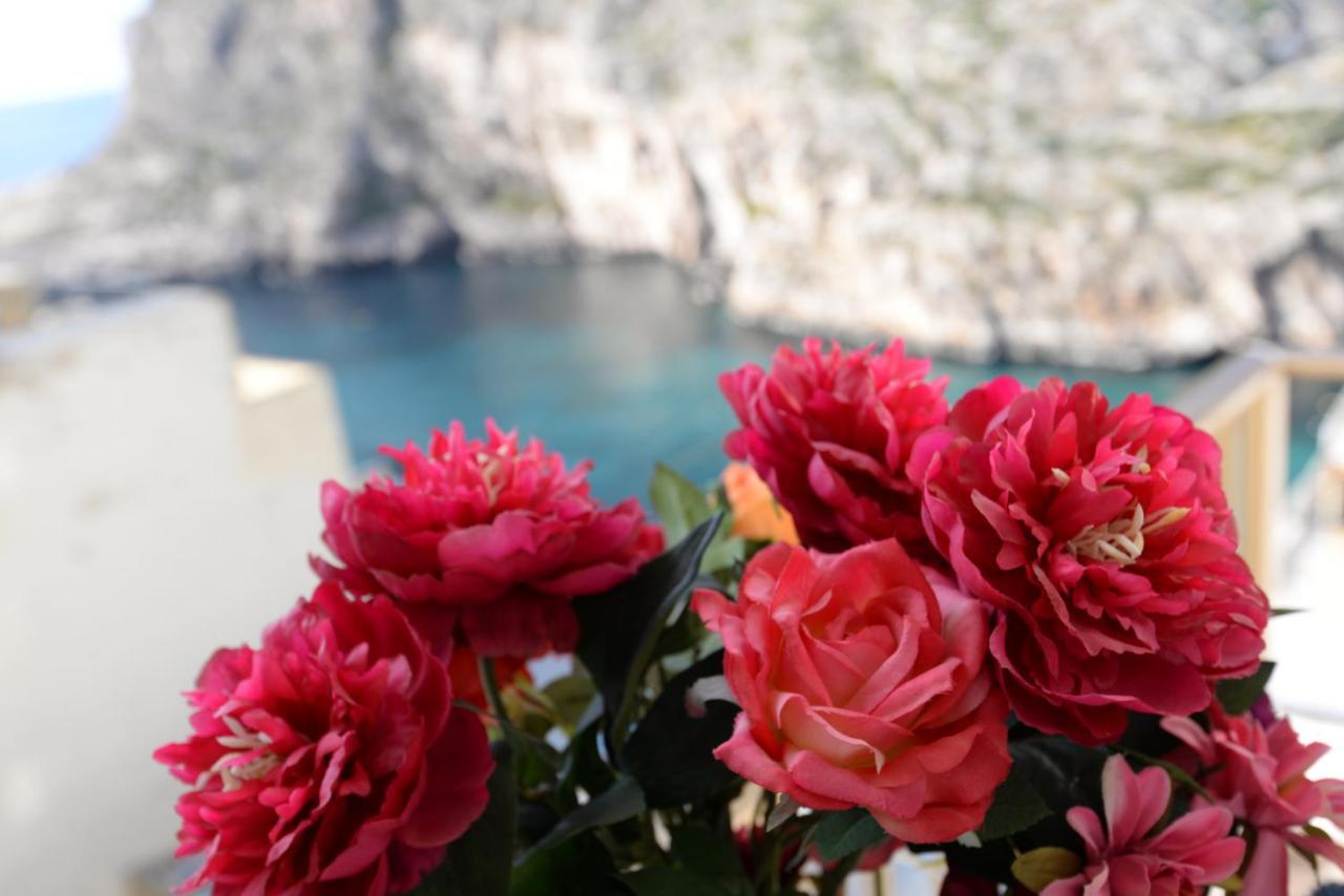 Avalon - Bellevue Gozo Apartment ซเลนดิ ภายนอก รูปภาพ